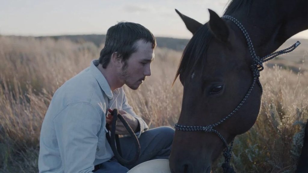 the rider - Menonton.id