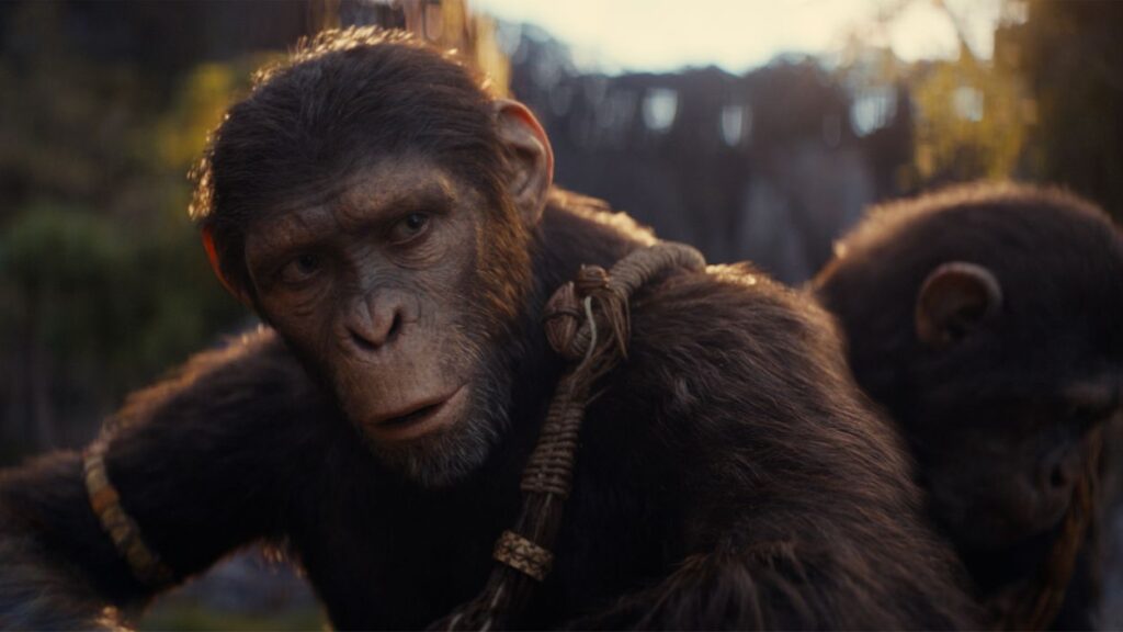 review kingdom of the planet of the apes - Menonton.id (3)