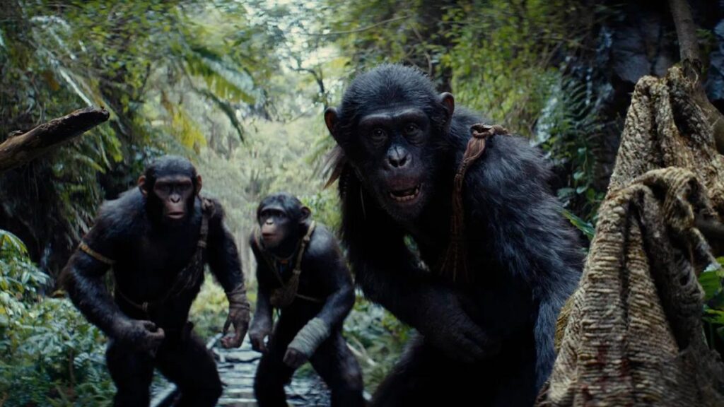 review kingdom of the planet of the apes - Menonton.id (4)