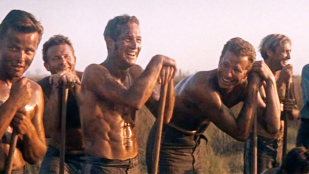 cool hand luke - Menonton.id (2)